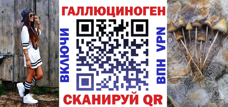 сколько стоит  Лагань  МЕГА как войти  Псилоцибиновые грибы Psilocybe 